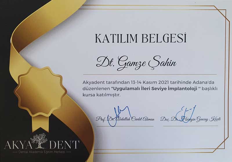 Dt. Gamze Şahin Sertifika Dentanorm Adana 