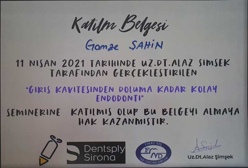 Dt. Gamze Şahin Sertifika Dentanorm Adana 